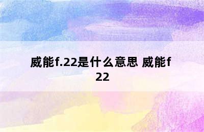 威能f.22是什么意思 威能f 22